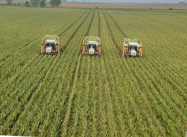 policy missteps threaten agriculture policy missteps threaten agriculture