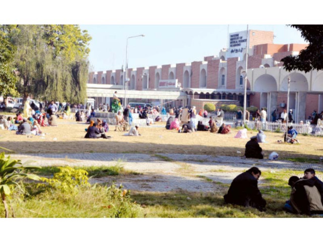 cadd minister says psychiatrists will also be appointed in federal schools cadd minister says psychiatrists will also be appointed in federal schools