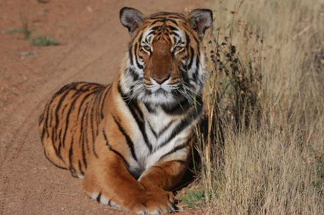 representational photo leon marshall via national geographic representational photo leon marshall via national geographic