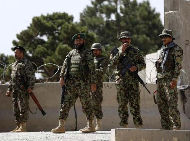 afghan national army photo reuters
