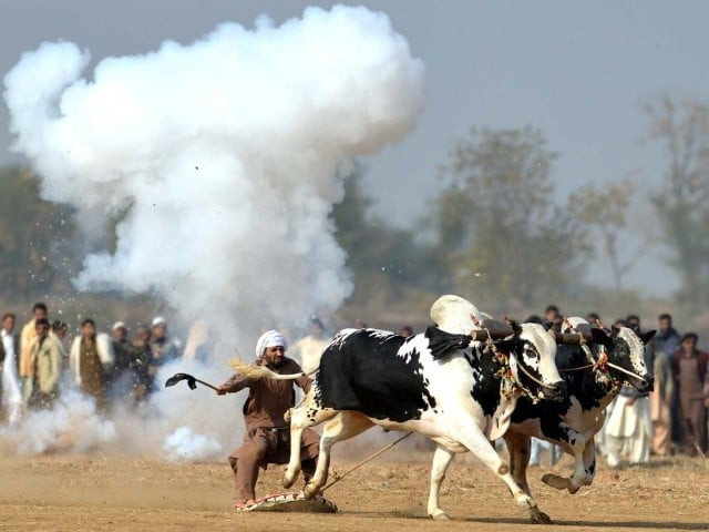 photo afp file photo afp file