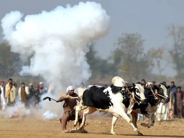 photo afp file photo afp file