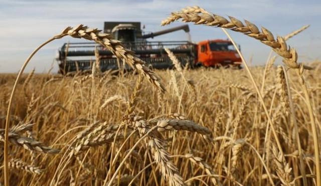 Financial globalisation and wheat prices