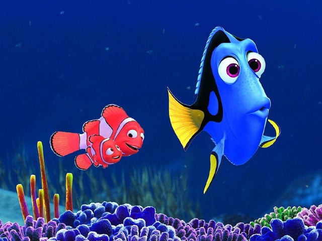 finding dory starring ellen degeneres and idris elba comes out 13 years after 039 finding nemo 039 photo moviesinthephilippines com finding dory starring ellen degeneres and idris elba comes out 13 years after 039 finding nemo 039 photo moviesinthephilippines com