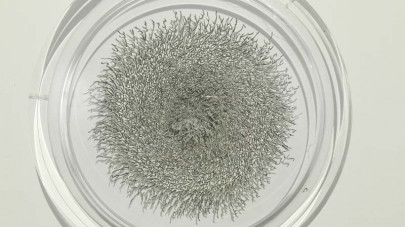 miniature paintings work exploring language barrier on display