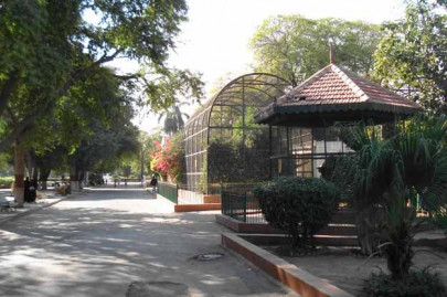 shc summons karachi zoo director over condition of animals shc summons karachi zoo director over condition of animals