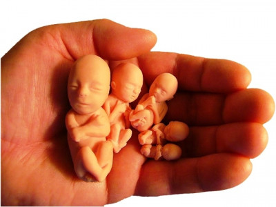 steal a baby sell a baby steal a baby sell a baby