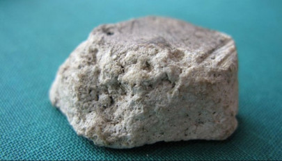 whale vomit could sell for 70 000