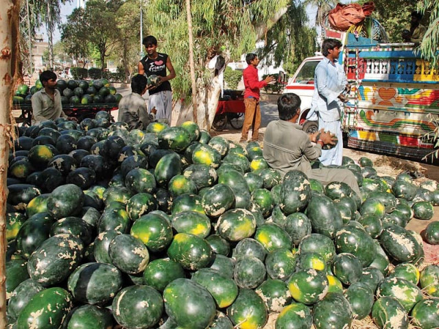 according to a paper by ashraf mallah the use of pesticides has harmful effects on not just the farmers but also the food consumers he counted a range of vegetables and fruits that contain varying amounts of pesticide residues by the time they reach the market photo shahid ali express according to a paper by ashraf mallah the use of pesticides has harmful effects on not just the farmers but also the food consumers he counted a range of vegetables and fruits that contain varying amounts of pesticide residues by the time they reach the market photo shahid ali express