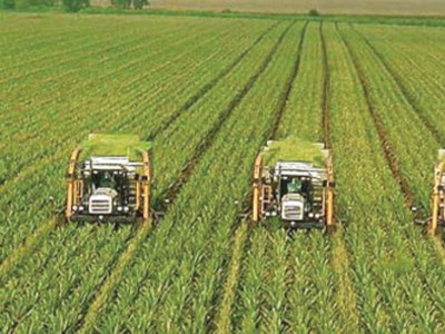 chinese consortium to buy 1 of australian land