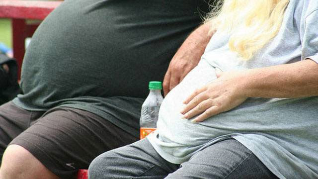 genetic components can contribute to the development of obesity photo lifehacker genetic components can contribute to the development of obesity photo lifehacker