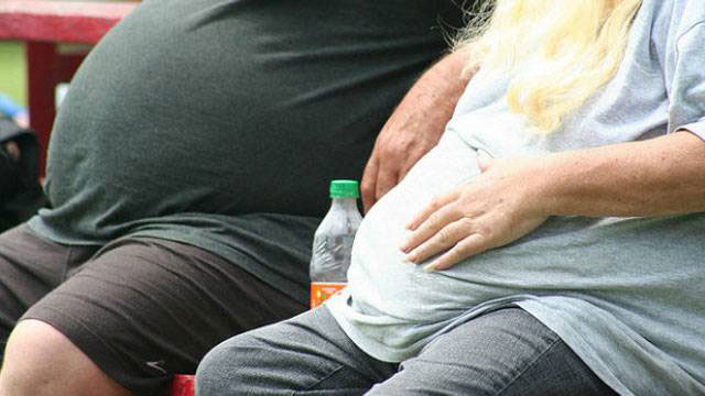 genetic components can contribute to the development of obesity photo lifehacker