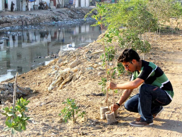 fixit campaigners planted trees on the right bank of manzoor colony nullah on thursday evening photo aysha saleem express fixit campaigners planted trees on the right bank of manzoor colony nullah on thursday evening photo aysha saleem express