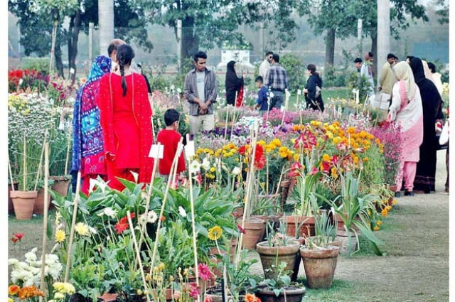 gilani park lahore photo app