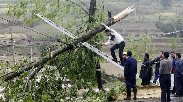 a file photo showing people clear away a damaged tree photo reuters