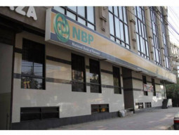 govt defers nbp privatisation