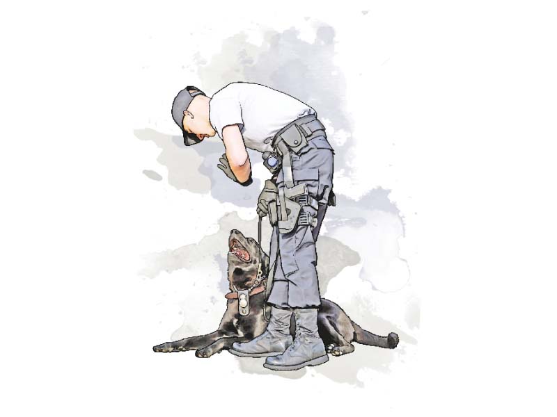 police dogs of the special branch have been assisting sweeps since 2010 illustration nabeel khan