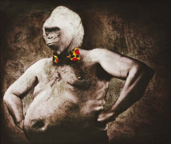 to put her message across in a straightforward manner the artist has assigned beastly faces of animals to human bodies photo courtesy artscene gallery to put her message across in a straightforward manner the artist has assigned beastly faces of animals to human bodies photo courtesy artscene gallery