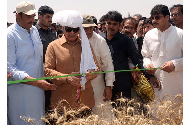 cm punjab inaugurates 2016 wheat harvesting campaign in khairpur tamewali photo express