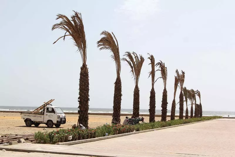 for the last thirty years authorities have been planting trees including coconut palms along seaview not a single tree has survived photo aysha saleem express for the last thirty years authorities have been planting trees including coconut palms along seaview not a single tree has survived photo aysha saleem express