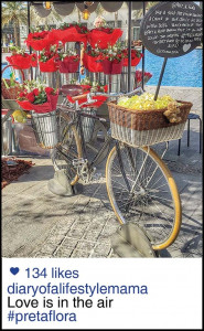 the screenshot diary of a lifestyle mama