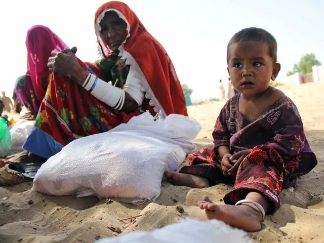 thar commission clearly blames the sindh government for the deaths in the area photo online thar commission clearly blames the sindh government for the deaths in the area photo online
