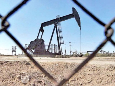 ppl s profit halves to rs15 85 billion