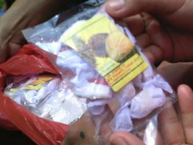 committee formed to probe the deaths committee formed to probe the deaths