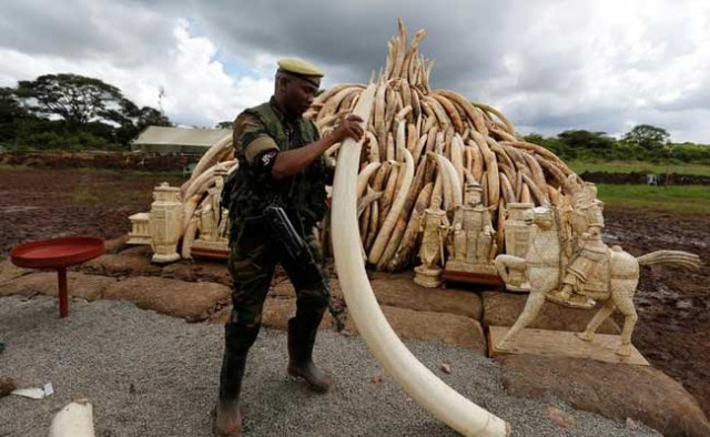 photo reuters photo reuters