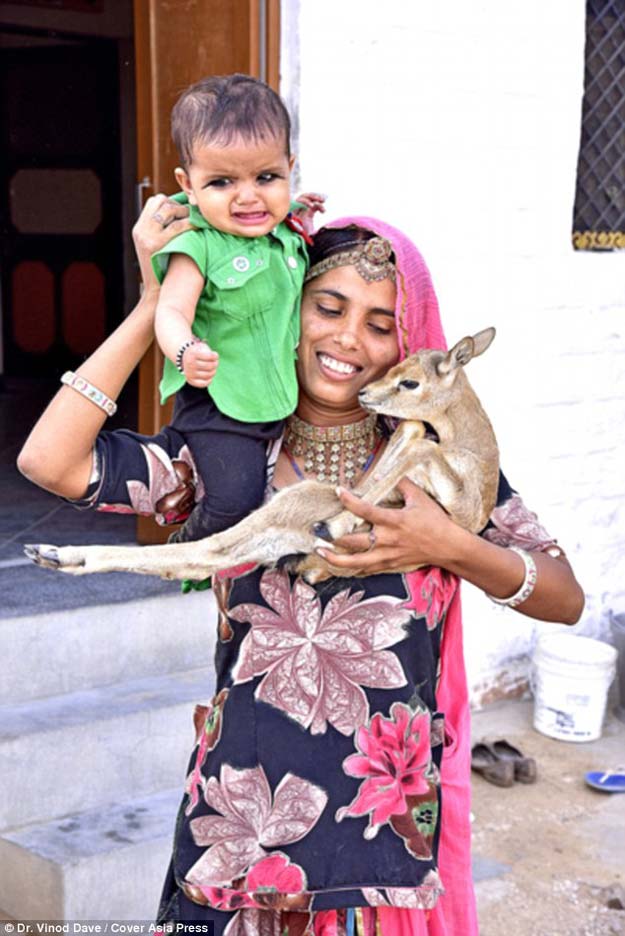 mothers in this indian tribe breastfeed deer