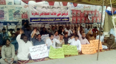 calling for accountability our rulers are sacred cows that can t be questioned