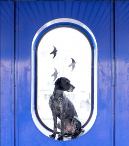 the screenshot lookoflal the screenshot lookoflal