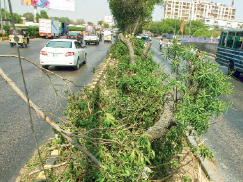 around 13 trees were cut down on sharae faisal just in front of metro supermarket by unidentified men in the wee hours of thursday photos athar khan express