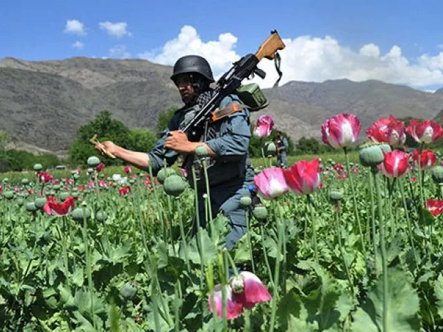 the fighting in helmand province had actually dipped in recent weeks but the lull is temporary warns spokesperson photo afp the fighting in helmand province had actually dipped in recent weeks but the lull is temporary warns spokesperson photo afp