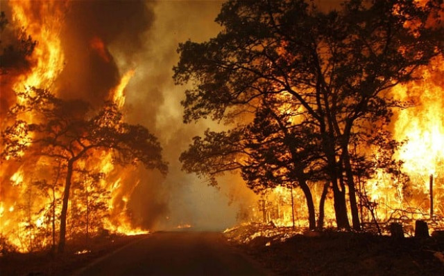 losses worth millions occurred locals suspect act of arson photo reuters losses worth millions occurred locals suspect act of arson photo reuters