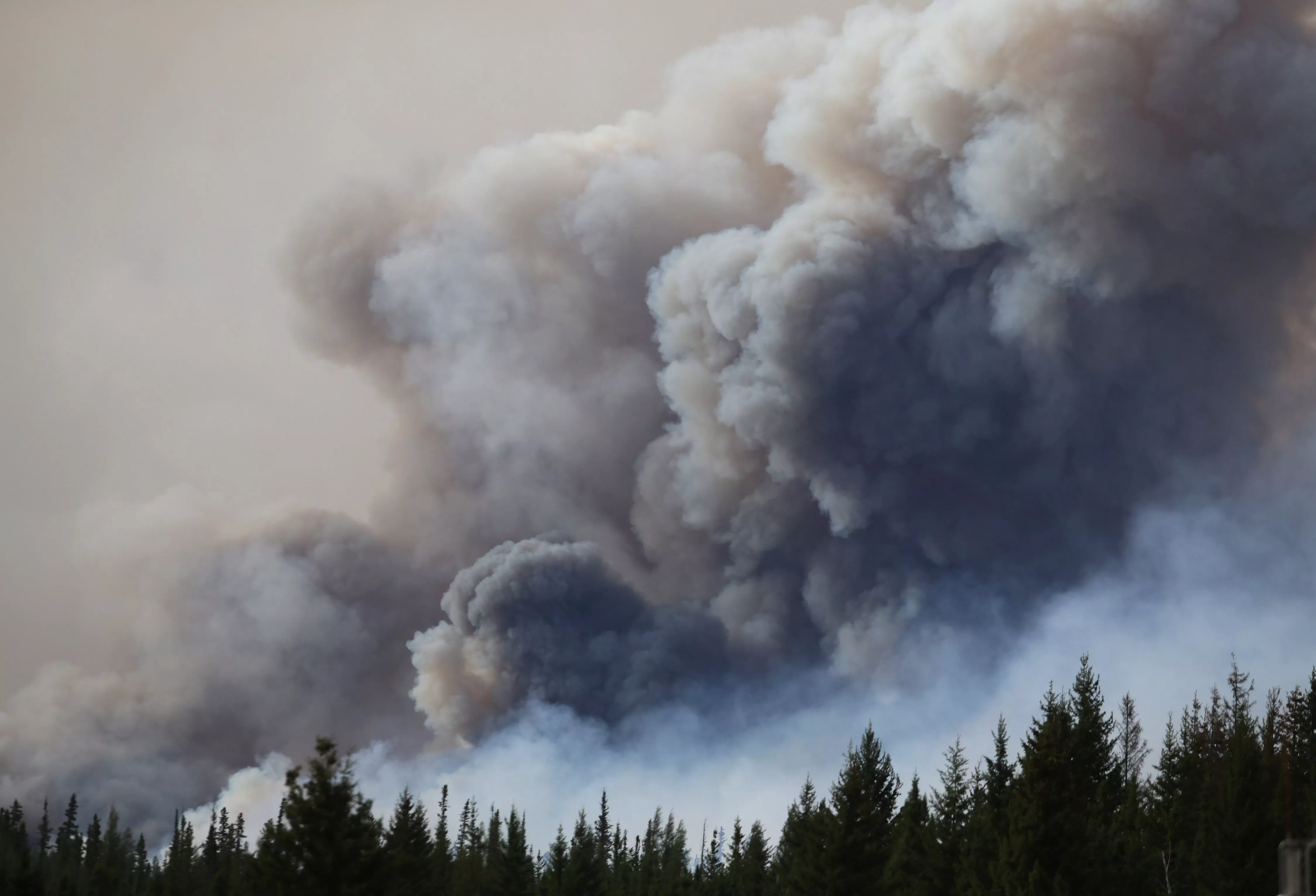 photo afp photo afp