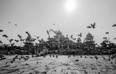 23 must see pictures for our monochrome aficionados