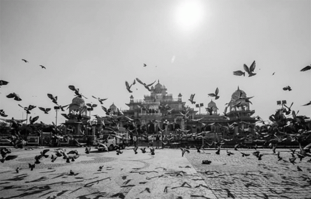 photo parmveer singh photo parmveer singh