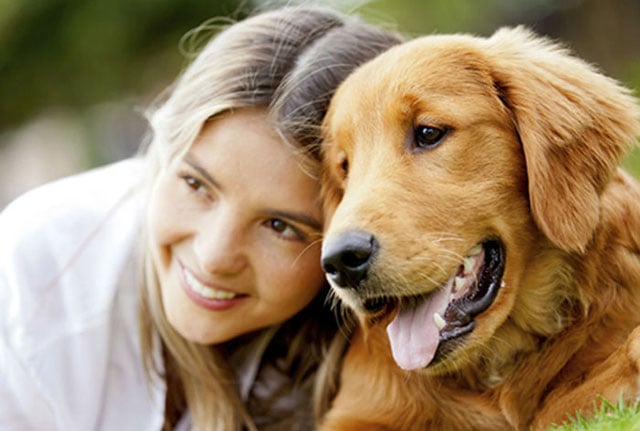 animals have a unique ability to comfort people photo newskarnataka