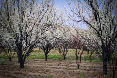 10 serene images that will make you want to take a road trip to quetta 10 serene images that will make you want to take a road trip to quetta