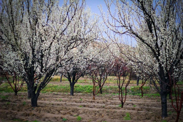 10 serene images that will make you want to take a road trip to quetta