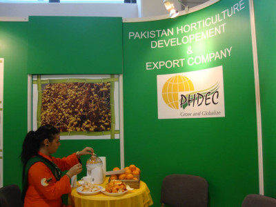 phdec opens new office