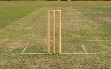 the victim was beaten with stumps by the batsman photo courtesy emirates 24 7