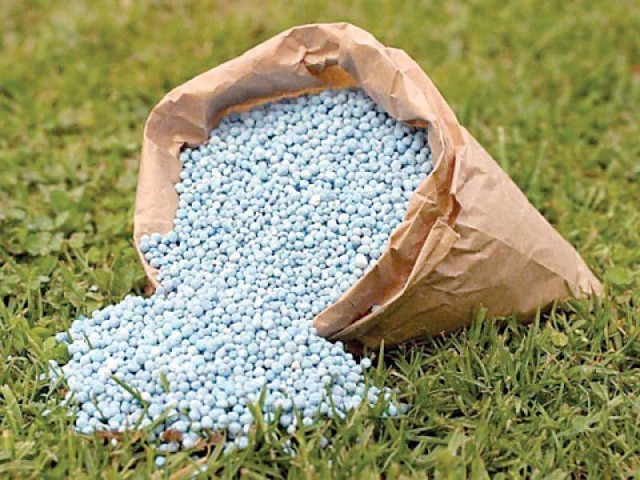 the federal government in the 2015 16 budget had set aside rs20 billion for dap subsidy with 50 share from the four provinces as per their consumption needs photo file the federal government in the 2015 16 budget had set aside rs20 billion for dap subsidy with 50 share from the four provinces as per their consumption needs photo file