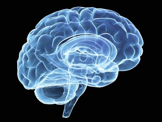advances in brain tech spur push for neuro rights advances in brain tech spur push for neuro rights