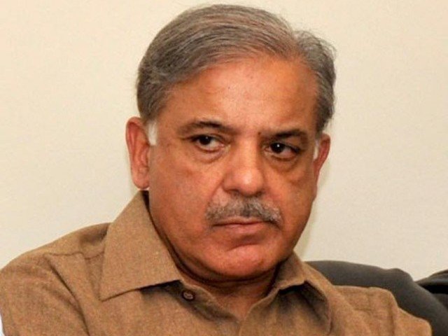 punjab chief minister shahbaz sharif photo app