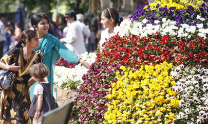 dc refuses to open azakhel botanical garden dc refuses to open azakhel botanical garden