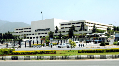 senate tells govt to prepare dossiers on indian interference