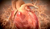 man suffers fatal heart attack after bike impounded man suffers fatal heart attack after bike impounded