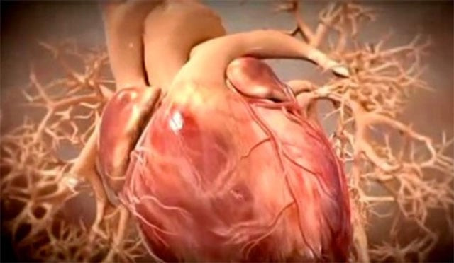 with silent heart attacks people typically don t seek medical advice because they don t realise anything is wrong photo cnn with silent heart attacks people typically don t seek medical advice because they don t realise anything is wrong photo cnn